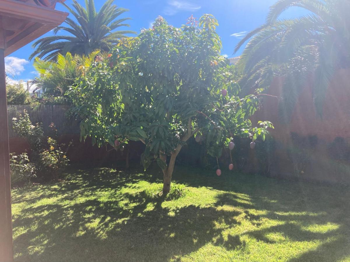 Xanadu Coliving Otel Santa Úrsula Dış mekan fotoğraf