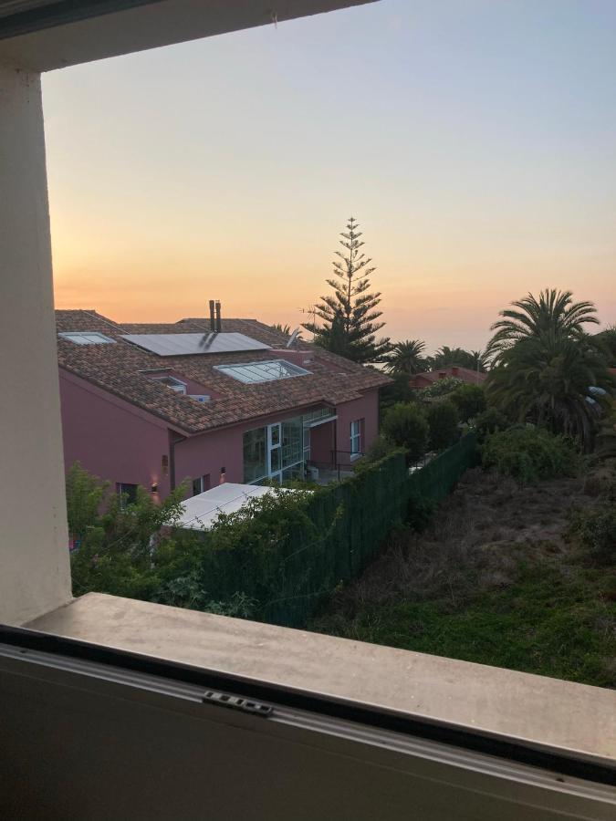 Xanadu Coliving Otel Santa Úrsula Dış mekan fotoğraf